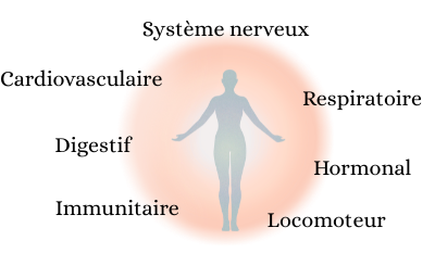 Le bien-être du corps et de l'esprit